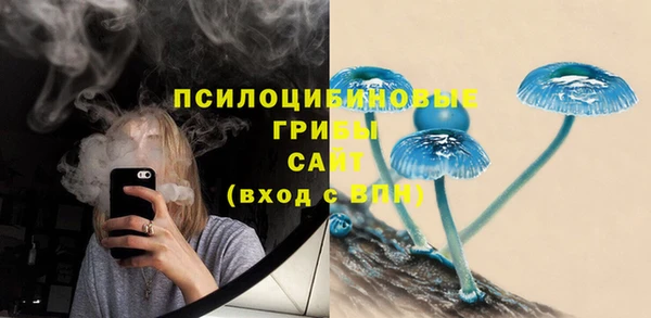МДМА Бородино